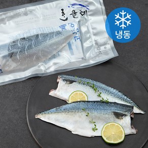 한올레 제주 고등어살 프리미엄 (냉동), 540g, 1팩