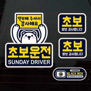 뭉키데코 칼라 곰돌이 초보운전 차량스티커 3종 세트