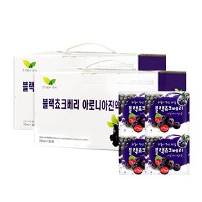 엔씨 블랙초코베리 아로니아 진액, 2.1L, 2박스