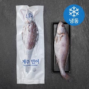 한올레 제주 통민어 대 (냉동)