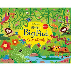 The Usborne집중력놀이 Big Pad 신나는 수학 퍼즐: