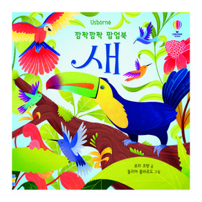 Usborne깜짝깜짝 팝업북: 새: