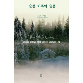 슬픔 이후의 슬픔:상실의 아픔과 함께 삶으로 나아가는 법