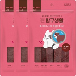 내츄럴랩 강아지 견탐구생활 슬라이스 간식, 소고기, 100g, 3개