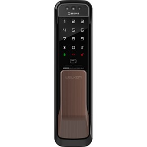 솔리티 얼굴인식 무타공 푸시풀 도어락 WP-500A