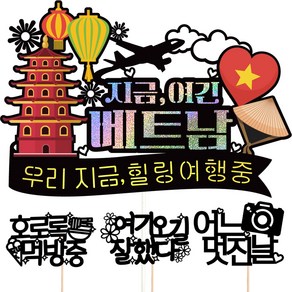 비비드레인 베트남 여행 토퍼 + 픽 3p 세트, 155 지금여긴베트남 우리지금, 1세트