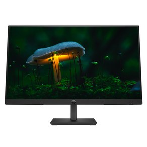 HP 프로 디스플레이 P24v G5 FHD 모니터, 60cm, HP P24v G5 FHD Monito