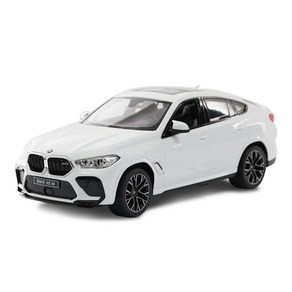 대호토이즈 BMW X6 M AA타입 1:14 스케일RC카