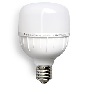 건식 ECO LED 전구 E39 원통 고와트 T램프 보안등 40W, 주광색, 1개