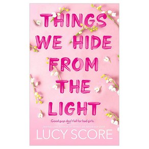 Things We Hide From The Light:the unforgettable sequel to global bestseller Things We Never Got Over