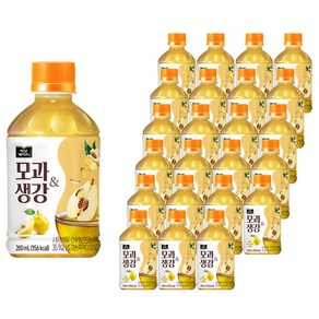 미닛메이드 모과생강, 280ml, 24개