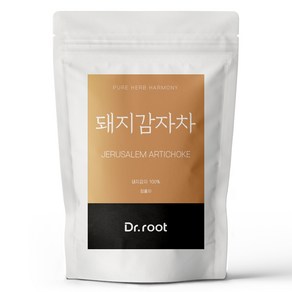 닥터루트 돼지감자 삼각티백, 1개, 25개입, 1.2g