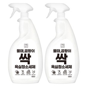 생활공식 물때 곰팡이 싹 욕실청소세제, 2개, 600ml