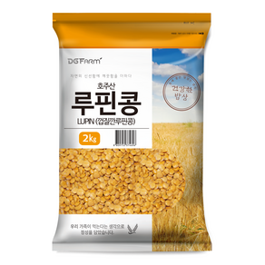 건강한밥상 루핀콩, 2kg, 1개