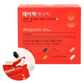 데이팩 에너지 30p