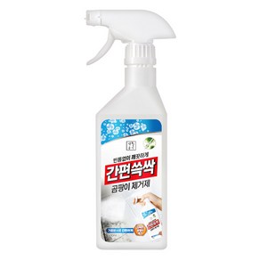 생활공식 간편쓱싹 곰팡이 제거제, 1개, 500ml