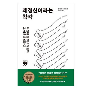 제정신이라는 착각 큰글자책, 김영사, 필리프 슈테르처