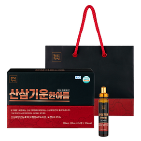 천년정성 산삼기운한아름 농축액 20mL x 14p 세트 + 쇼핑백, 1세트