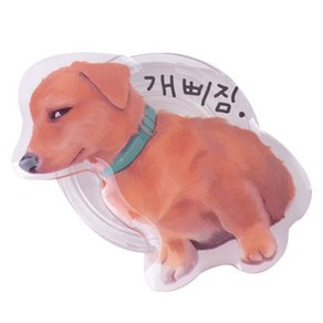 댕냥이 스마트톡