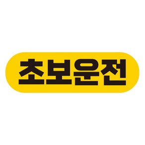 제제데코 자동차 탈부착 자석 고휘도 반사 초보운전 스티커 시트지 EC007, 혼합색상, 1개