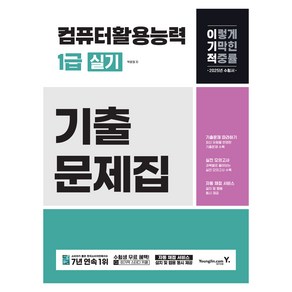 2025 이기적 컴퓨터활용능력 1급 실기 기출문제집, 영진닷컴