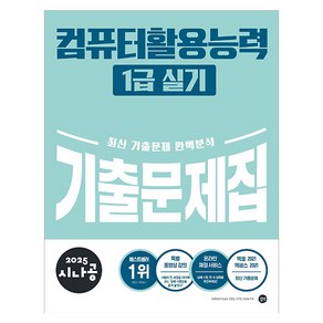 2025 시나공 컴퓨터활용능력 1급 실기 기출문제집, 길벗