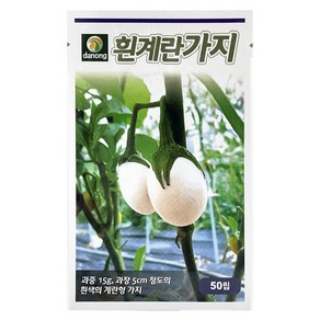 다농 흰계란가지 씨앗 50p, 1개