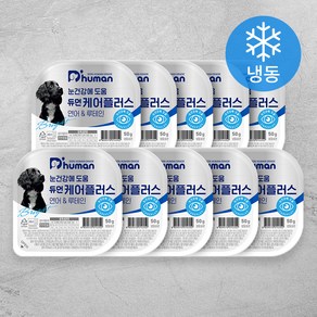 듀먼 전연령 강아지 케어플러스 눈건강 화식사료, 50g, 10개, 연어