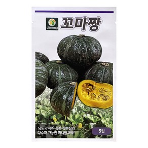 다농 꼬마짱 미니 단호박 씨앗 5p, 1개