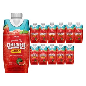 TAKO 모션 땡모반 수박 주스, 12개, 330ml