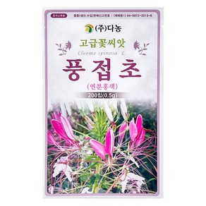 다농 풍접초 씨앗 연분홍색 0.5g, 1개