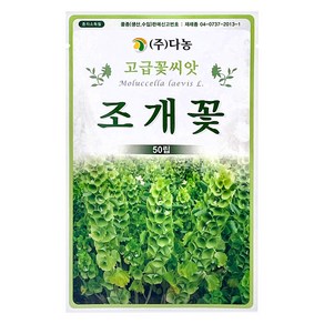 다농 조개꽃 씨앗 50p, 1개