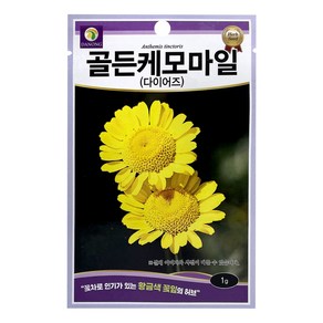 다농 골든 케모마일 다이어즈 씨앗 1g, 1개