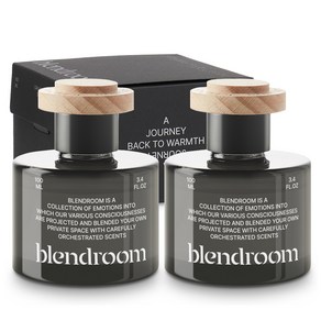 블랜드룸 고급형 디퓨저 100ml 본품, 2개, 밤쉘