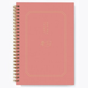 달퐁이네문방구 집중이 잘되는 스터디플래너 + 하루 일과표 스티커 세트, 02 라이트 코랄(플래너), 1세트