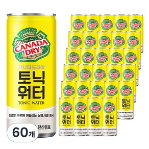 캐나다드라이 토닉워터, 250ml, 60개