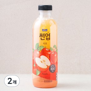 썬업 사과 주스, 750ml, 2개