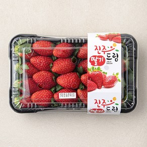 진주드림 금실 딸기 특, 500g, 1개