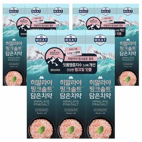 히말라야핑크솔트 담은 아이스 카밍 민트 치약, 100g, 9개