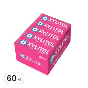 롯데자일리톨 츄잉껌 W, 24g, 60개