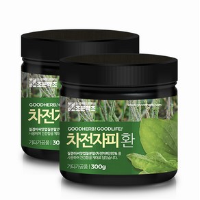 굿허브 프리미엄 차전자피환, 300g, 2개