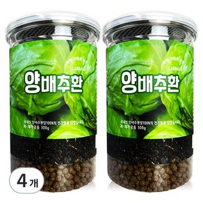 헬로우그린 양배추환 통, 300g, 4개