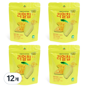 산마을 리얼칩 망고, 20g, 12개