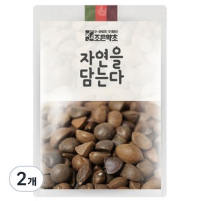 조은약초 동백씨, 600g, 2개