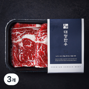 대정한우 등심 2등급 구이용 (냉장), 200g, 3개