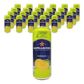 산펠레그리노 ISD 폼펠모 캔 탄산음료, 330ml, 24개