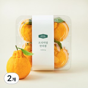 온브릭스 프리미엄 한라봉 4입, 1.1kg, 2개