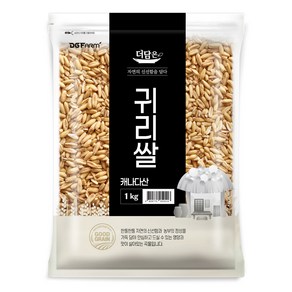 더담은 캐나다산 귀리쌀, 1kg, 1개