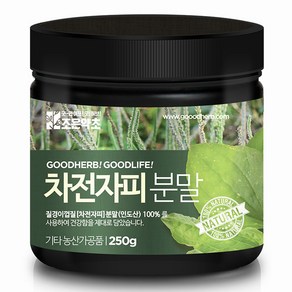 조은약초 차전자피분말, 1개, 250g