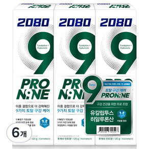 2080 프로나인 후레쉬 민트향 치약, 120g, 6개